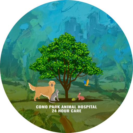 Como Park Animal Hospital